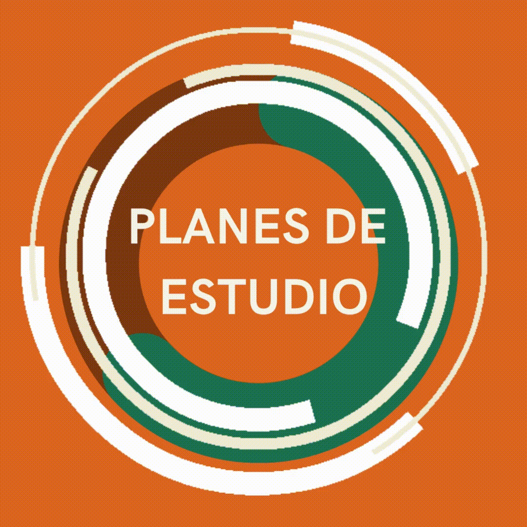 PLANES-DE-ESTUDIO