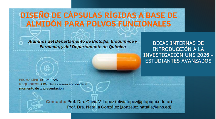 Becas internas Introduccion a la investigacion UNS