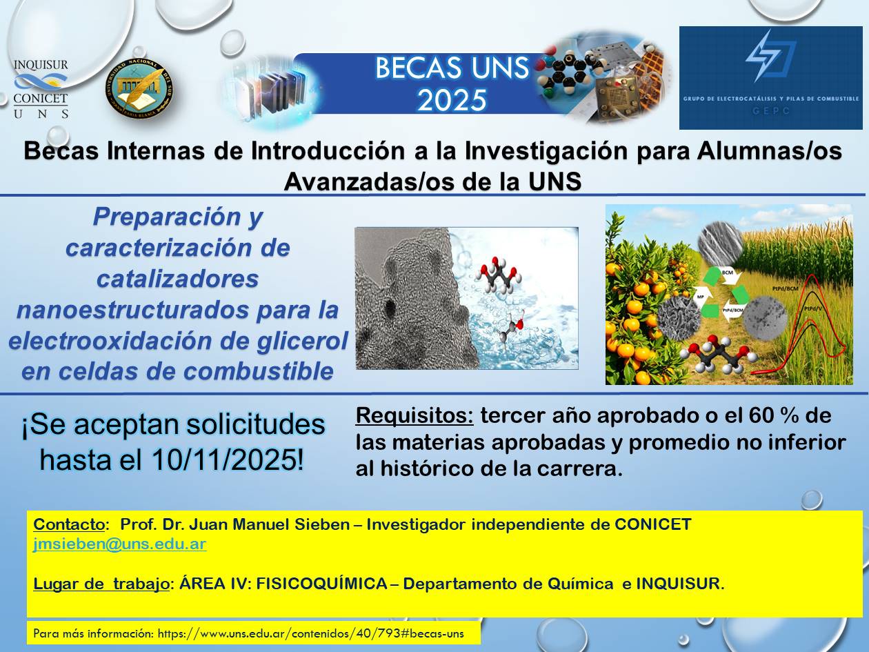Cartel para beca UNS alumnos 2025