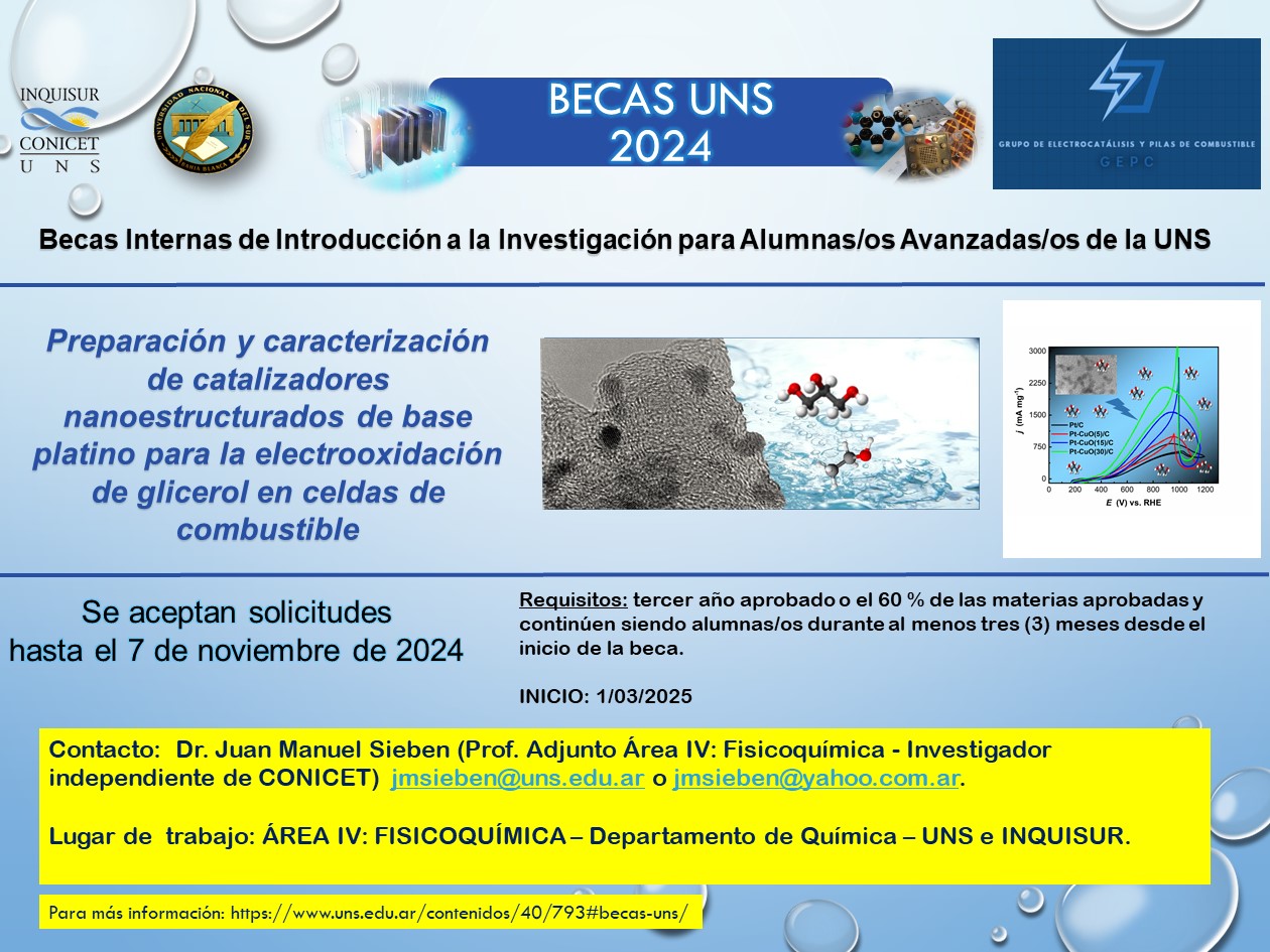 Becas Internas de Introducción a la Investigación para Alumnas/os Avanzadas/os de la UNS