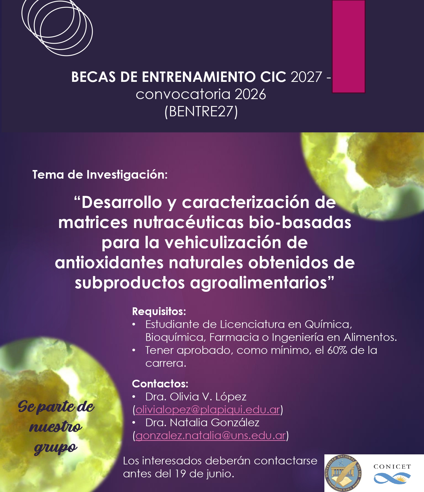Becas de Entrenamiento CIC 2027 - Convocatoria 2026
